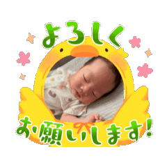 MINA_20250424193132
