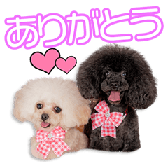 My beloved Mofurun&Ribon