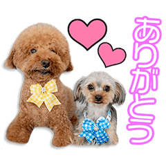 My beloved Marin&Nono