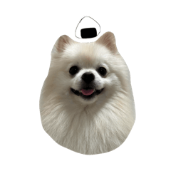 My name is OMUSUBI !!