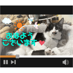 mao mao_20250424214048