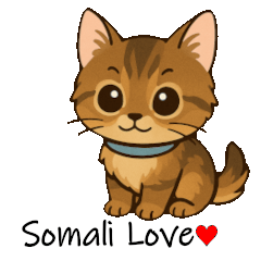 Somali in our home