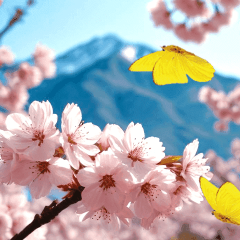 Flowers and yellow butterfly