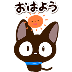 Moving Gentle Black Cat3