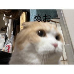 Taka_20250424221139