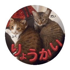 minorin_20250424173319