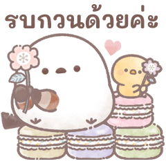 พาสเทล＊สุภาพ♥โมจินุ่มนิ่ม!นกชิมะเอนากะ