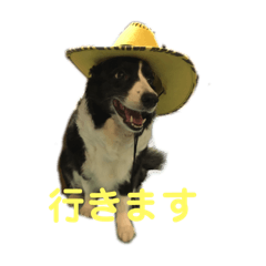 TAKE_20250425003537