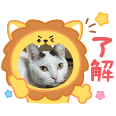 Mimi_20250425004645