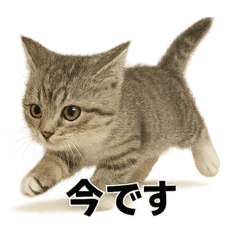 MINA_20250425105234