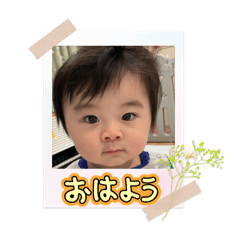 Chiimaru_20250425111018