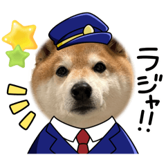 Y_20250425001645
