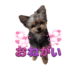 yuiyuiyui_20250425095902