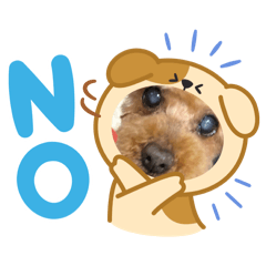 poorin_20250425101915