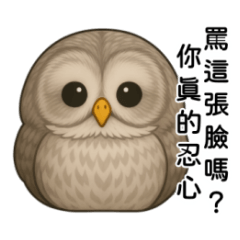 跟好朋友鬥嘴的貓頭鷹