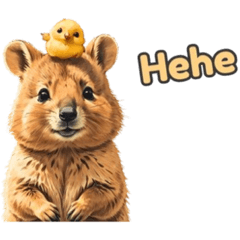 愛らしいクオッカ5 （英語）