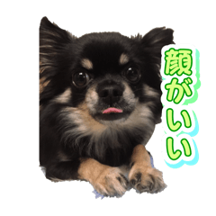 mana_20250420182740