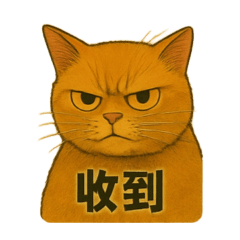 大尾和橘子3.0