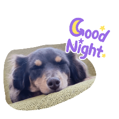 NANA_20250424223322