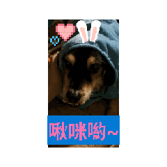 佳佳最口愛囉