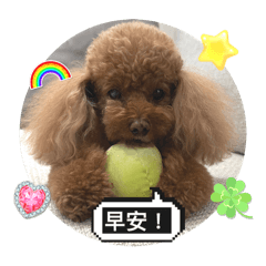 可愛妹妹寶