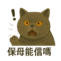 大尾和橘子4