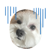 Lumi 生活貼圖