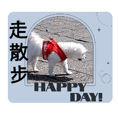 俏皮馬爾濟斯