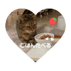 Haruka_20250425130523