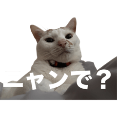 Y_20250424003237