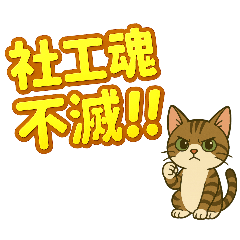 hujiangMa_20250423230054