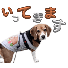 Ryu_20250424172543