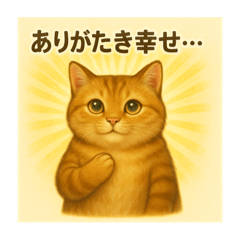 The Sassy & Cute Cat