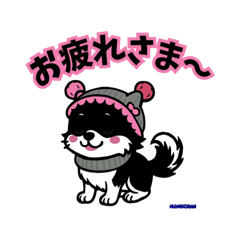 YOSHI_20250425023736
