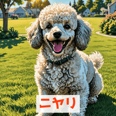 Tofu Poodle Faces  Mood Every Day