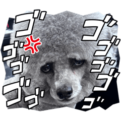 yuki_20250425102723