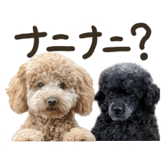 Kinako and Mame