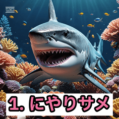 Sharky Talk Daily