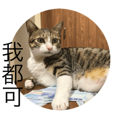Jodobe日常生活