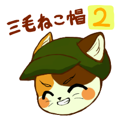 Calico Cat Hat 2