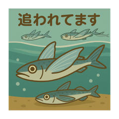 haru_20250425111645