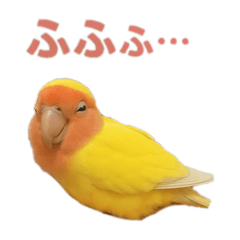 A_20250425120316
