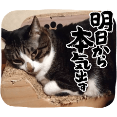 moka_20250425121325