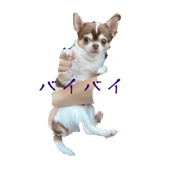YY_20250425123623