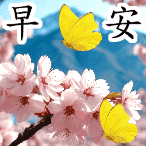 每天使用敬語