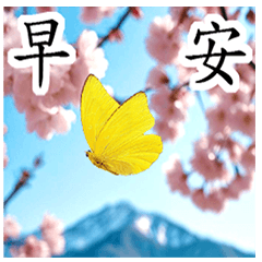 Use honorifics every day