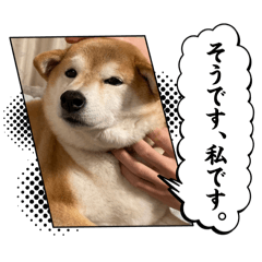 S_20250425123507
