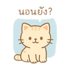 Caring cat at night