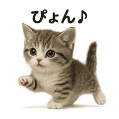 MINA_20250424122106