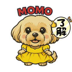 wakamoco_20250425132317
